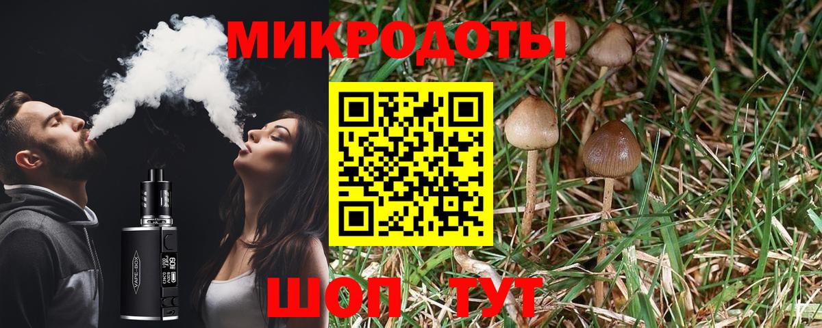 Бердск  Псилоцибиновые грибы ЛСД  где можно купить   Вход с VPN 